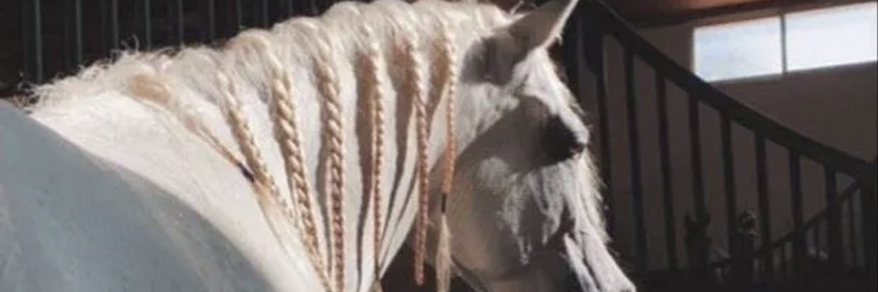 zoooz111's profile banner image