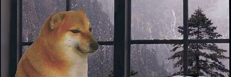 okoroNife's profile banner image