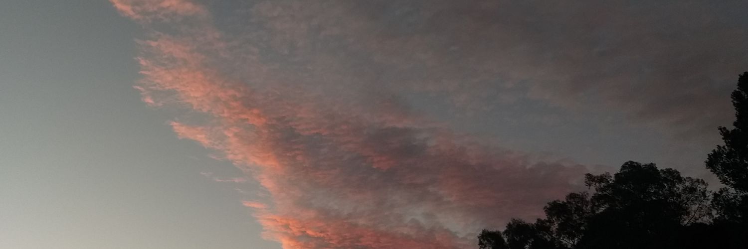 polaccoan's profile banner image