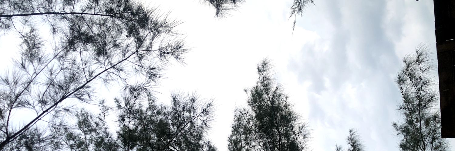 armaandika's profile banner image