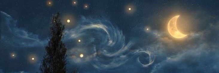 SevvalCagan's profile banner image