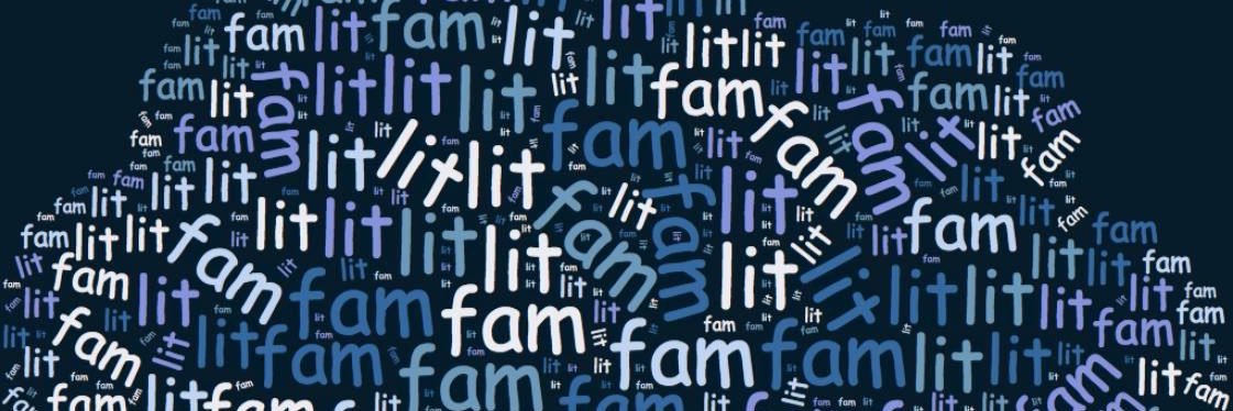 Stevie Rave On banner