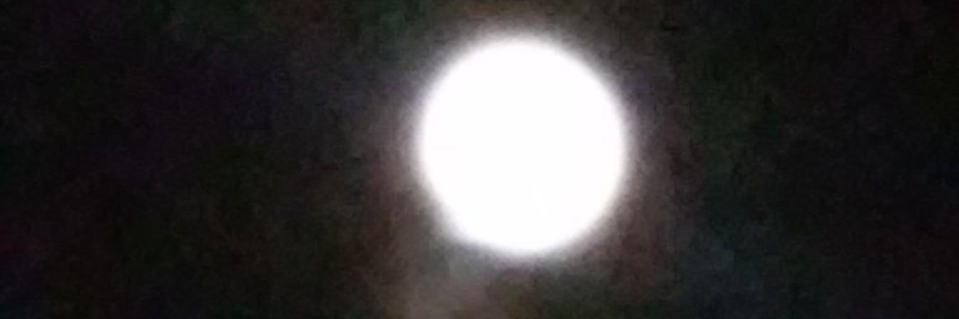 daprofasho's profile banner image
