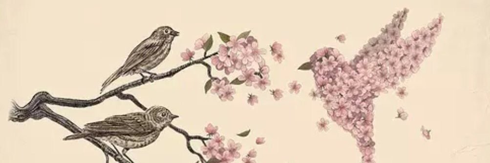 💎N .. banner