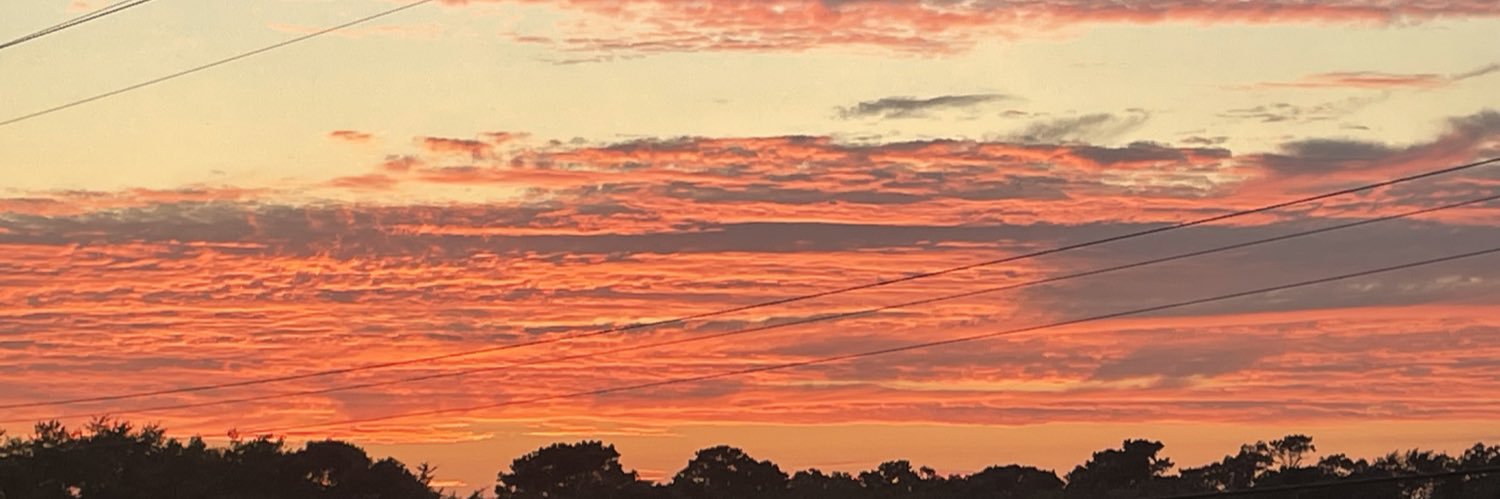 The Real Denny banner