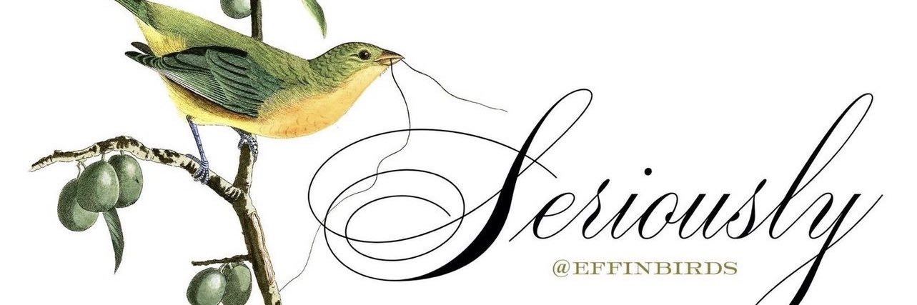 seriously?!? 🇺🇸🦅🌊 banner