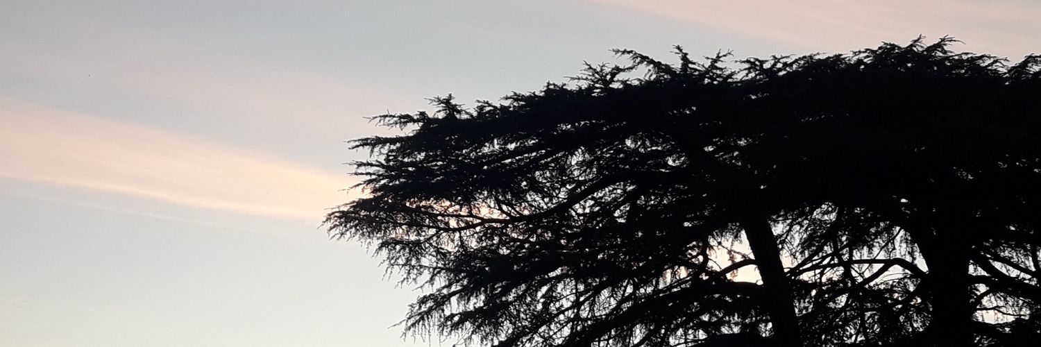 juliaaivc's profile banner image