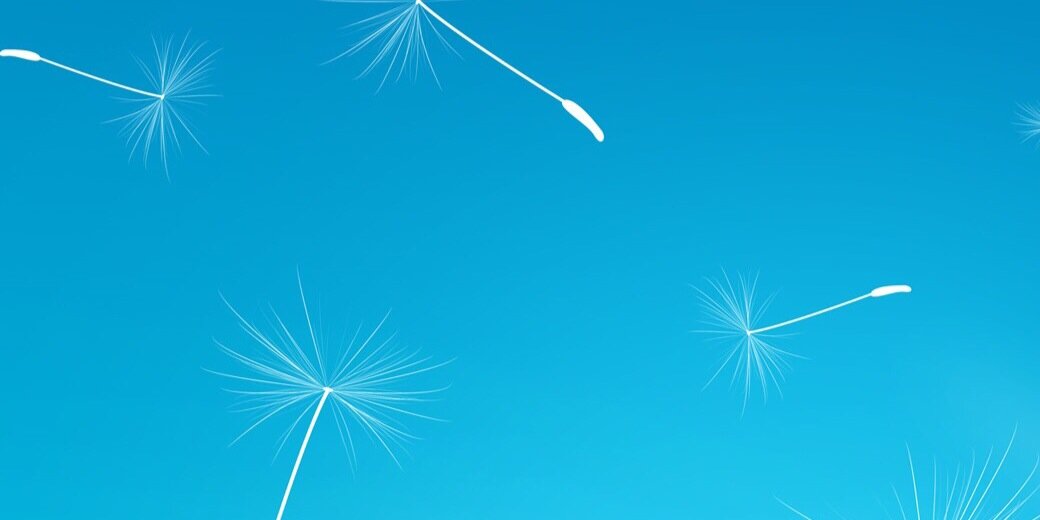DMI200's profile banner image