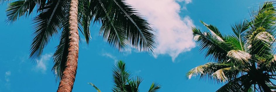 suaveCAL's profile banner image