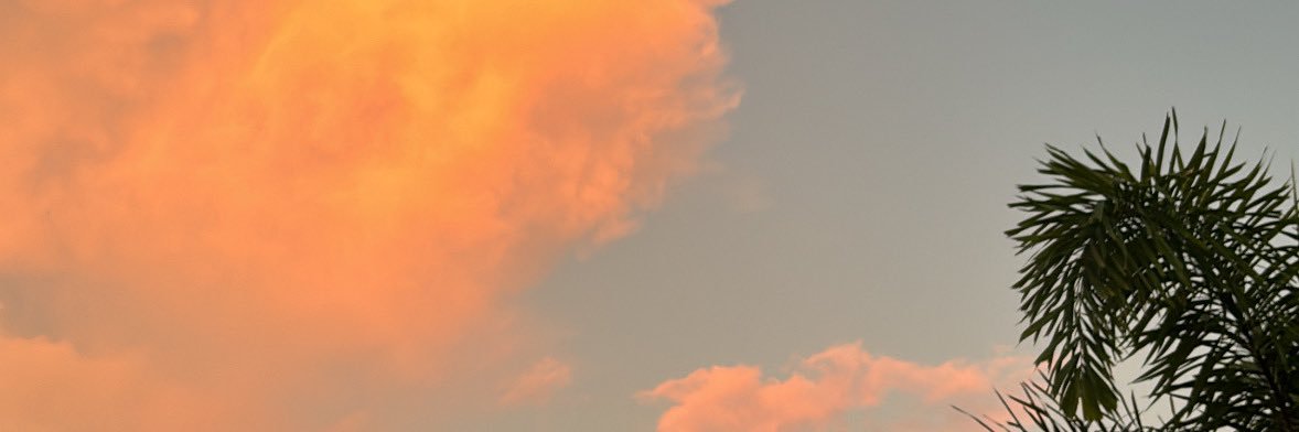 Ferlo_M's profile banner image