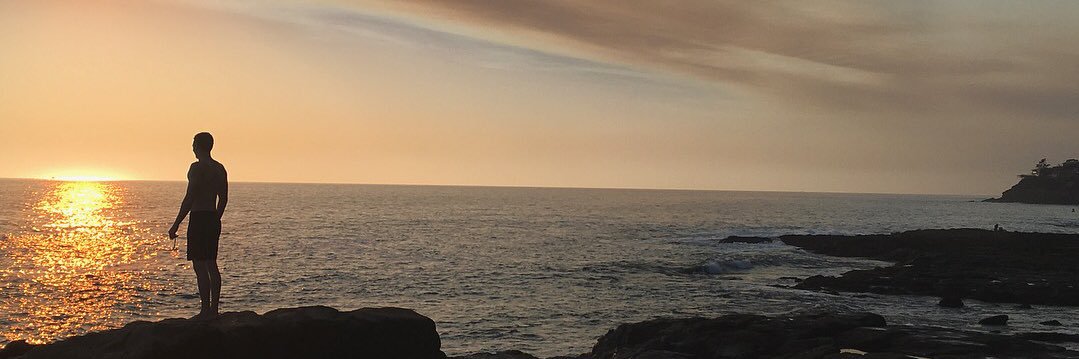 Chris Millham banner