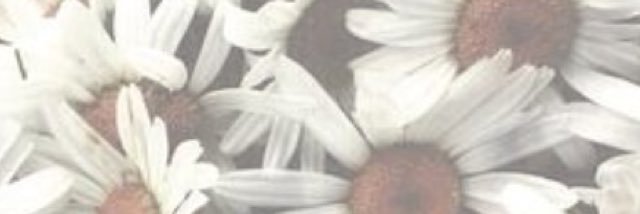 jessouthern04's profile banner image