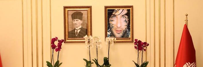 reignofceren's profile banner image