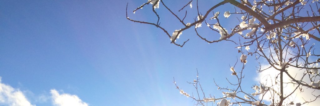 CleaRoberts's profile banner image