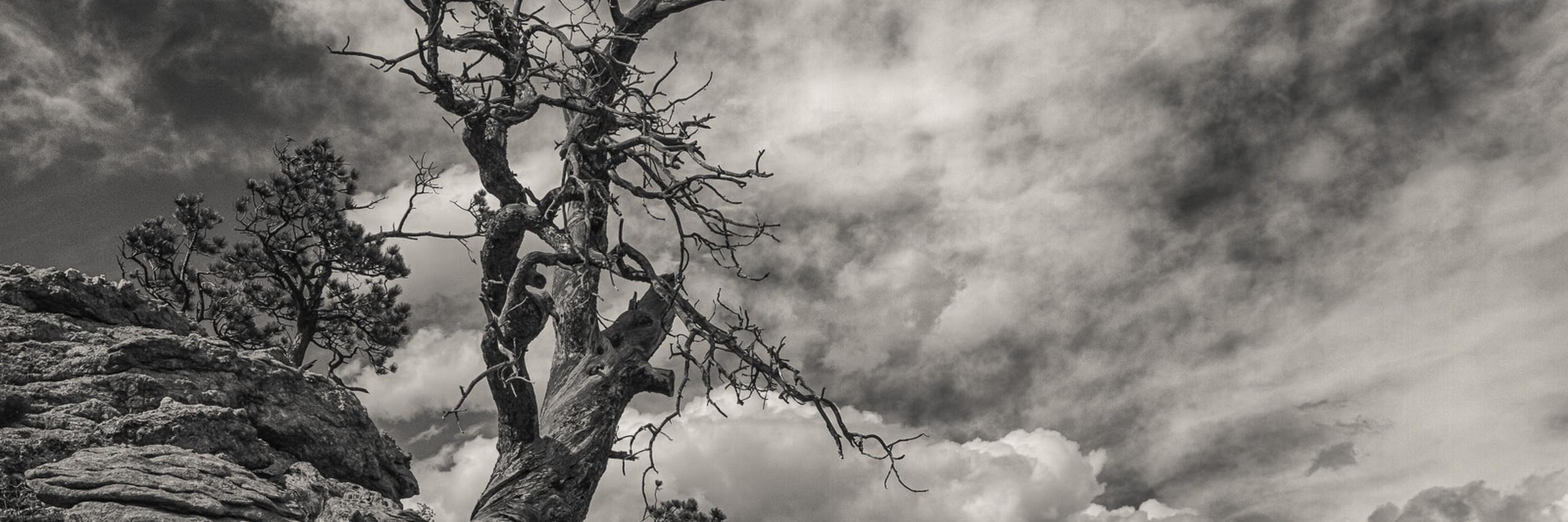 hXcMusic's profile banner image
