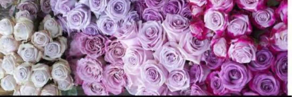 bliss5683's profile banner image