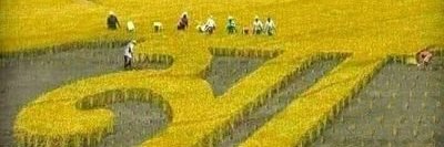 alejhandro trujillo banner