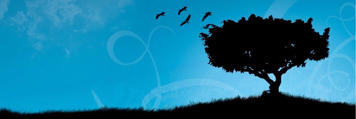 mariamarin911's profile banner image