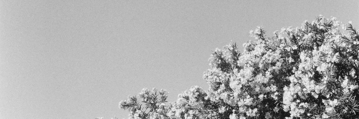 Tylerbear banner