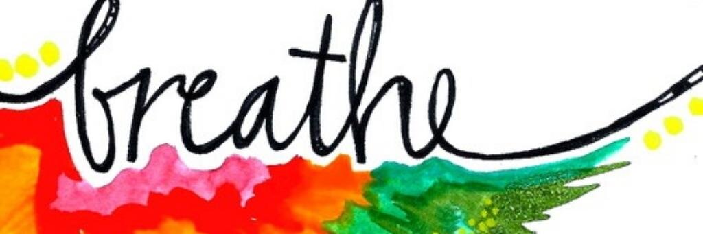 MarianaColina's profile banner image
