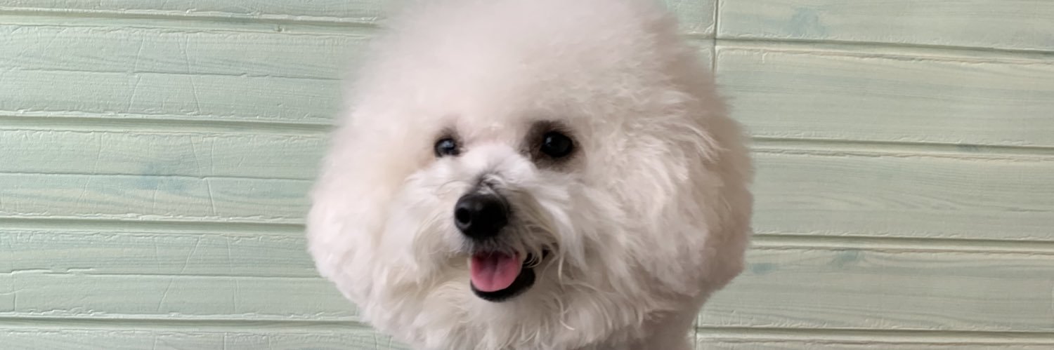 chloeehendarsin's profile banner image