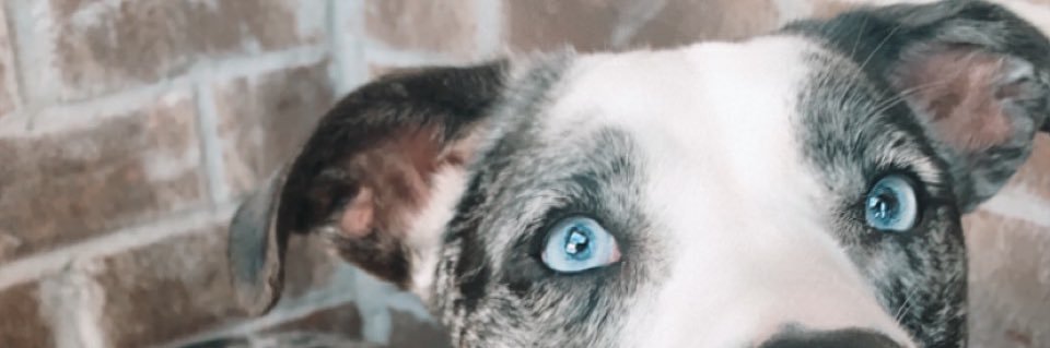 katefeaster's profile banner image