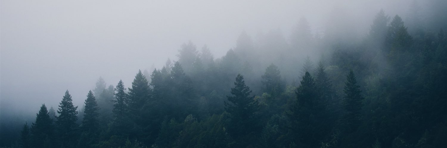 𝐂 ⋈ banner