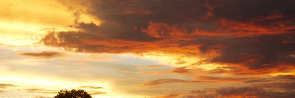acastellmd Profile Banner