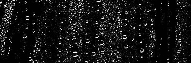 darelectric's profile banner image