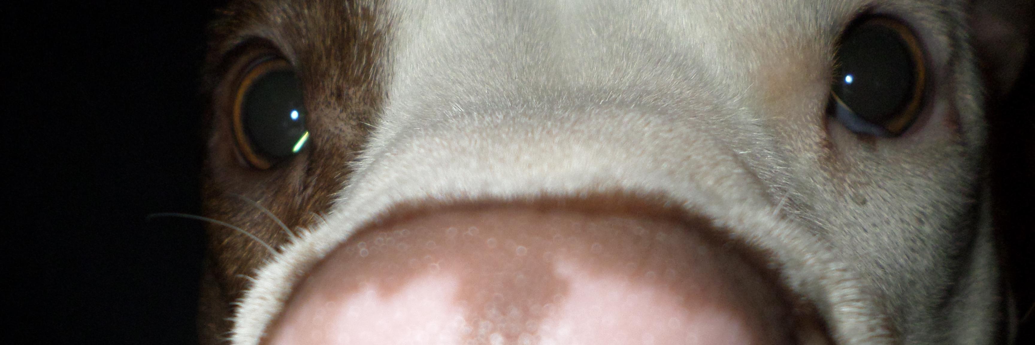 SantiiZG's profile banner image
