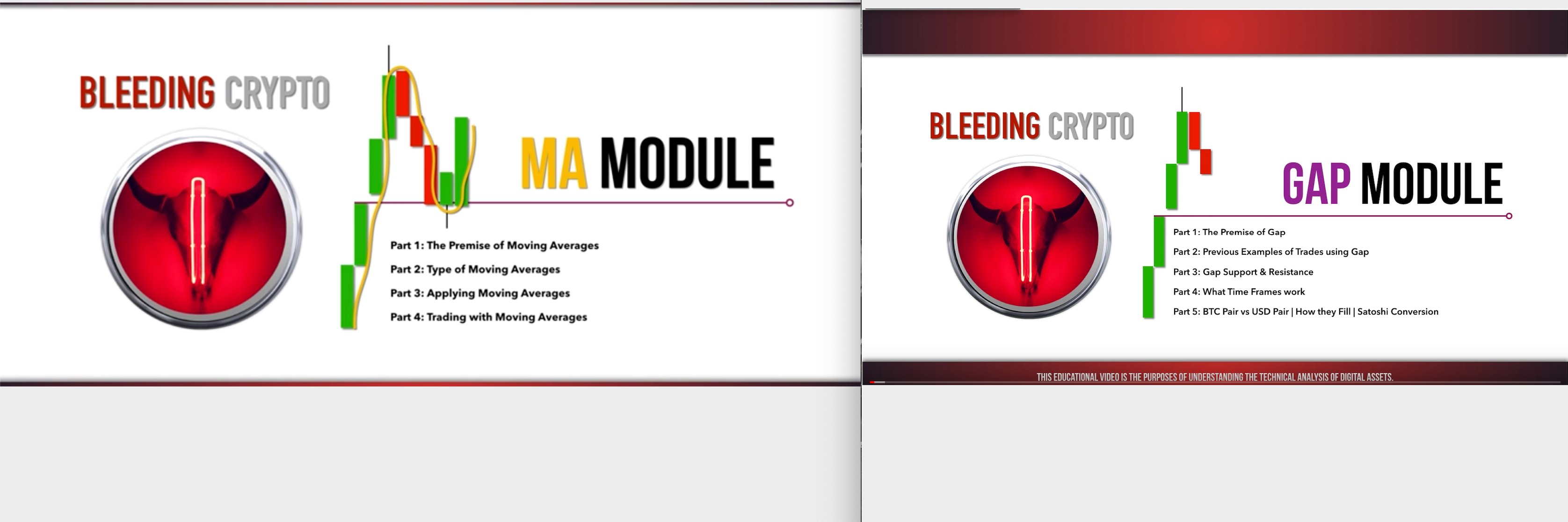 Bleeding Crypto banner