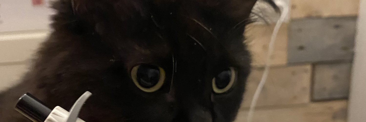 orbitachynnae's profile banner image