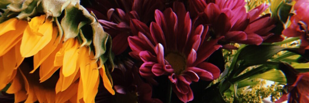 StephBarmakian's profile banner image