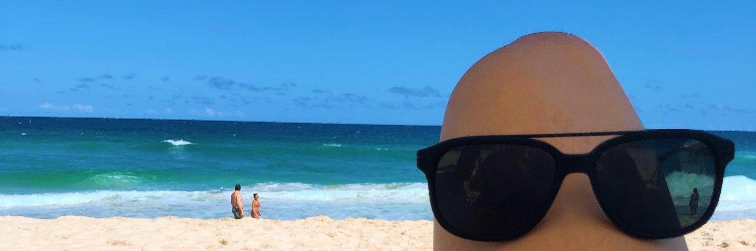 PauloBerner's profile banner image
