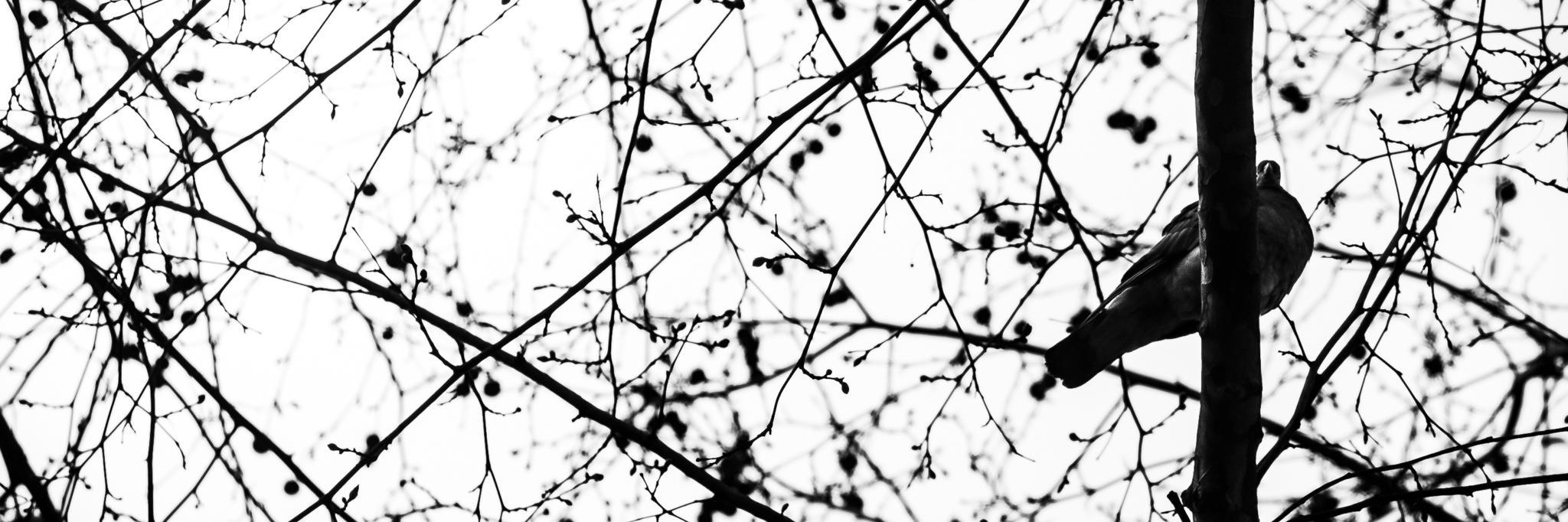 romigphoto's profile banner image