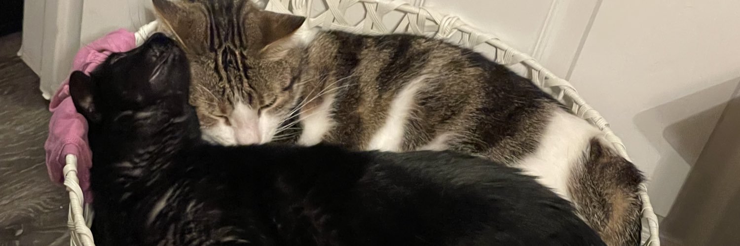 lauramicc's profile banner image