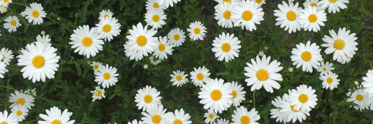 laaavmxn's profile banner image