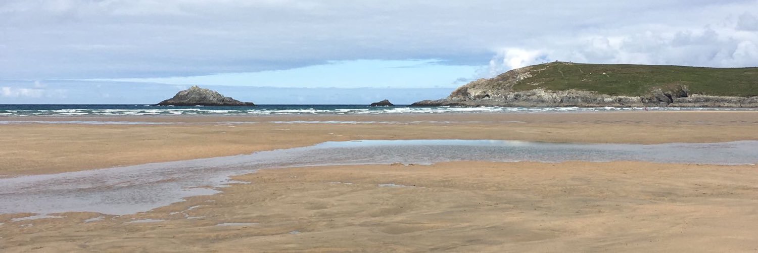 Steph 💚🤍💜 banner