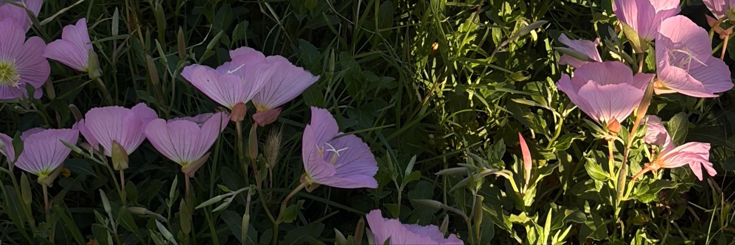 cherryperrra's profile banner image