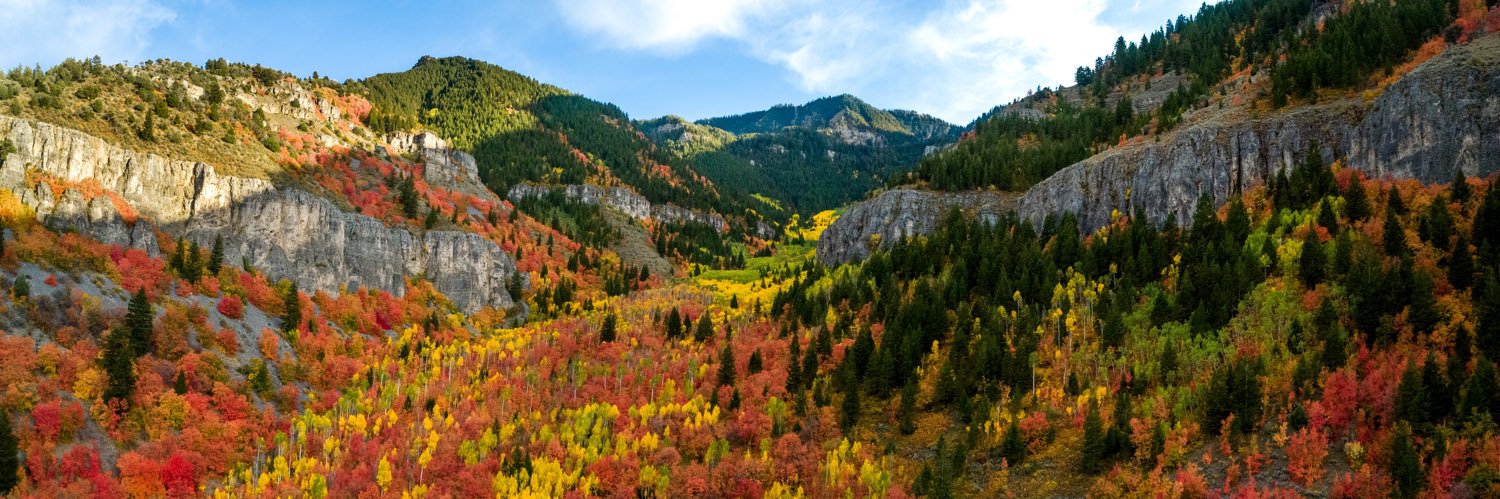 Andrew Diamond banner