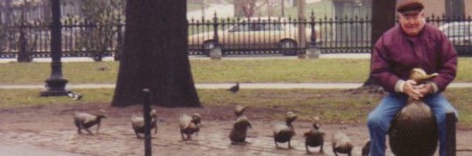 SarNaughton's profile banner image