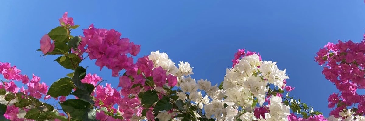 lujisansone's profile banner image