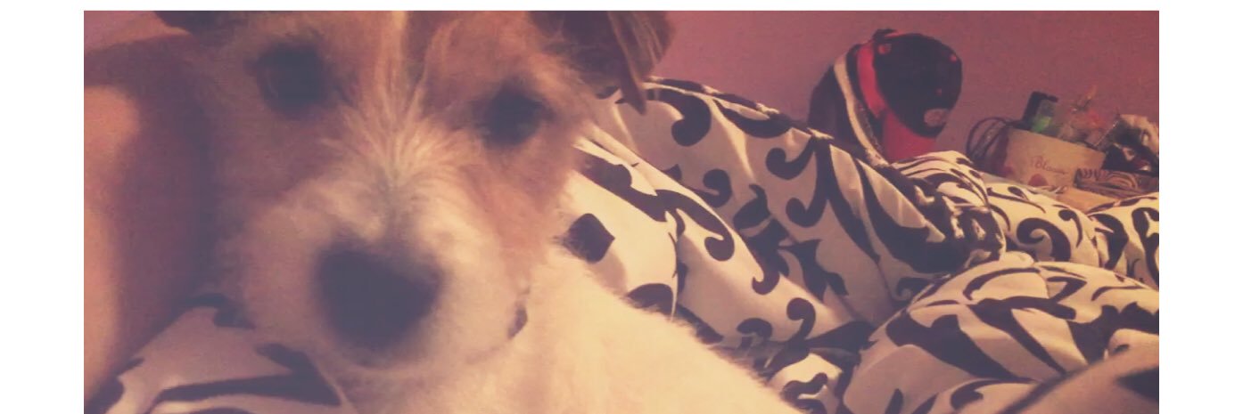 CallMeeCarol's profile banner image