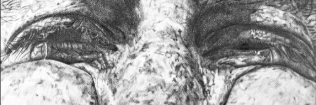 sebastephan's profile banner image
