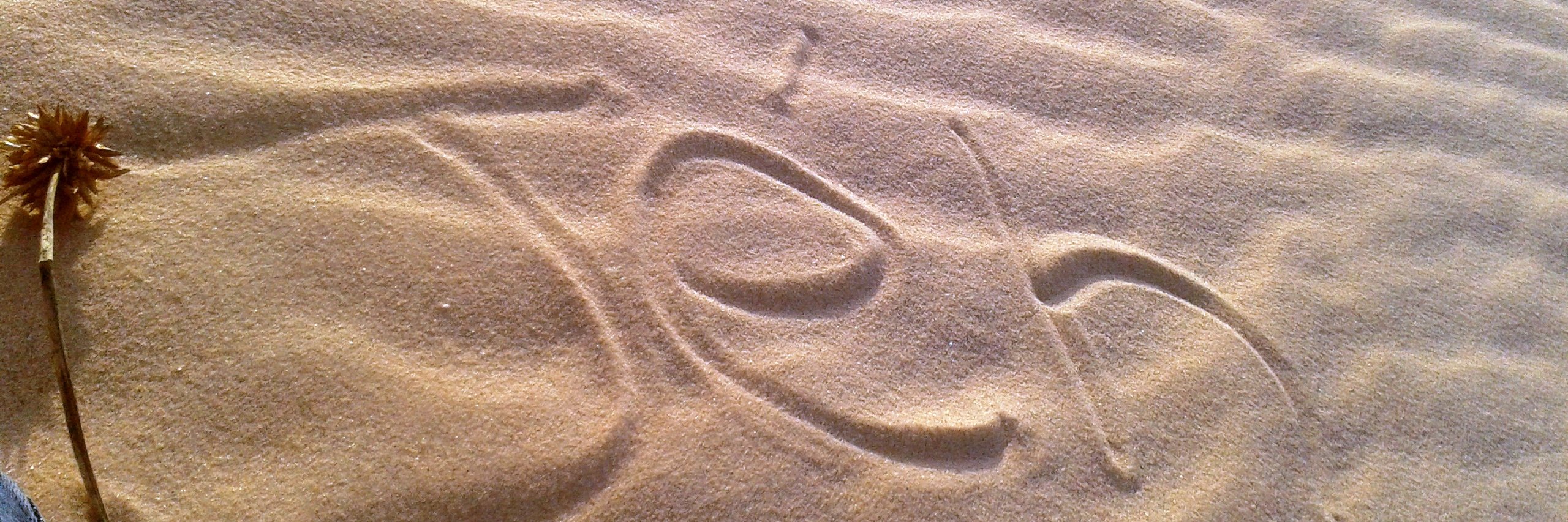 Jéssica Machado banner