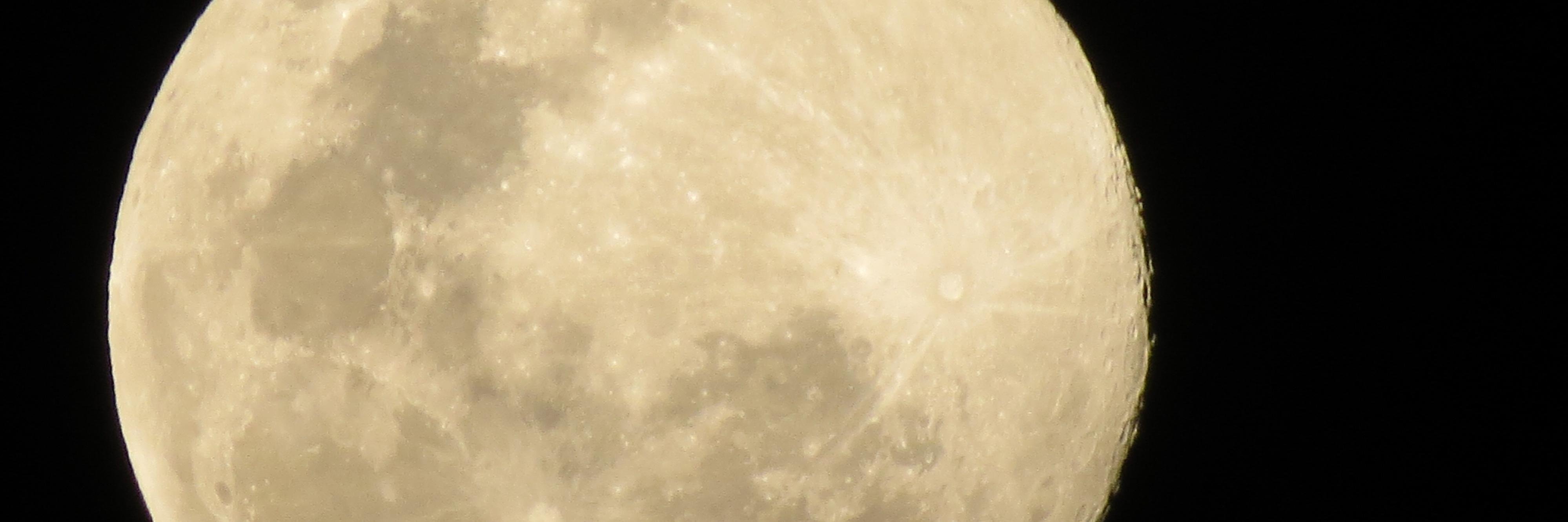 Vidax99's profile banner image