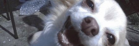 ucallhersteph_'s profile banner image