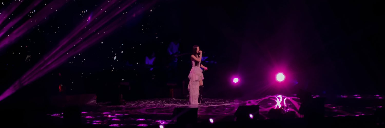 taengoosaur's profile banner image