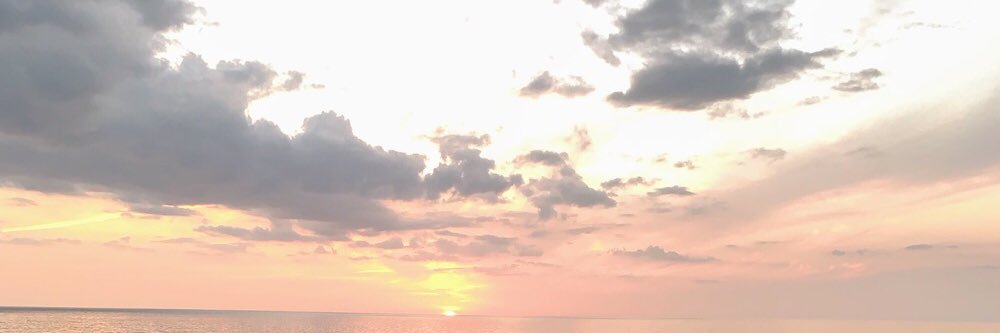 Christy Planer banner