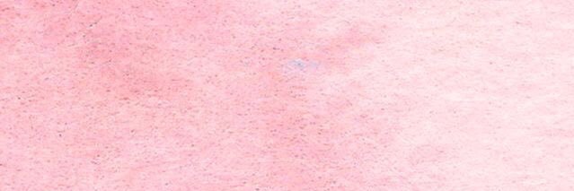 l0iza's profile banner image